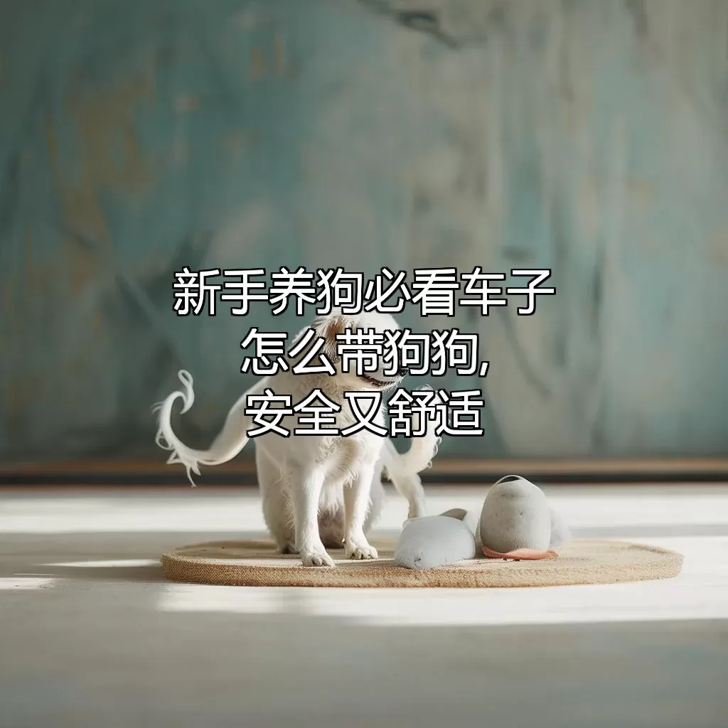 新手养狗必看!车子怎么带狗狗,安全又舒适