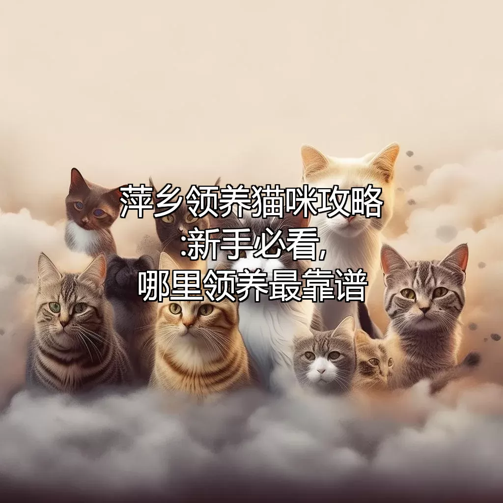 萍乡领养猫咪攻略:新手必看,哪里领养最靠谱??