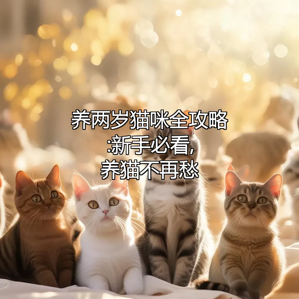 养两岁猫咪全攻略:新手必看,养猫不再愁!?