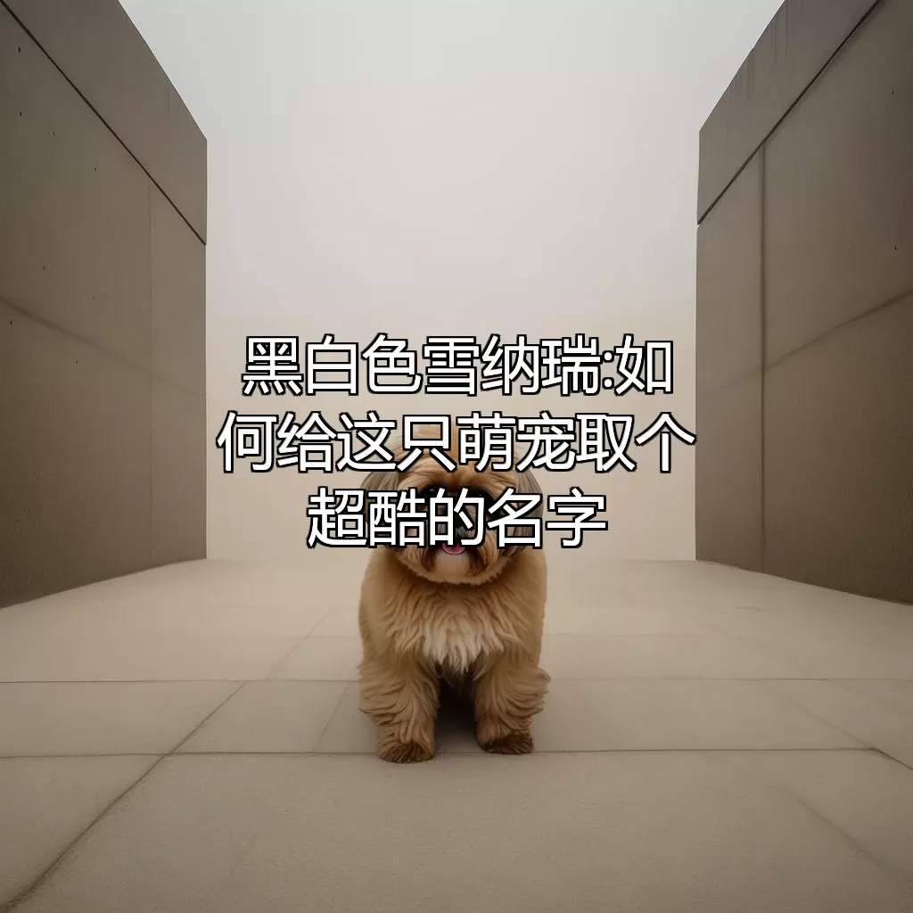 黑白色雪纳瑞:如何给这只萌宠取个超酷的名字?