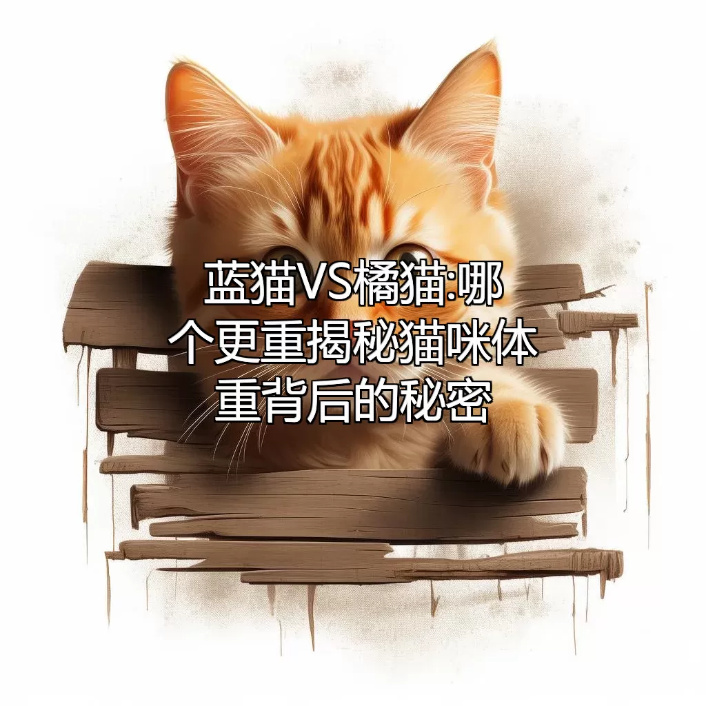 蓝猫VS橘猫:哪个更重?揭秘猫咪体重背后的秘密