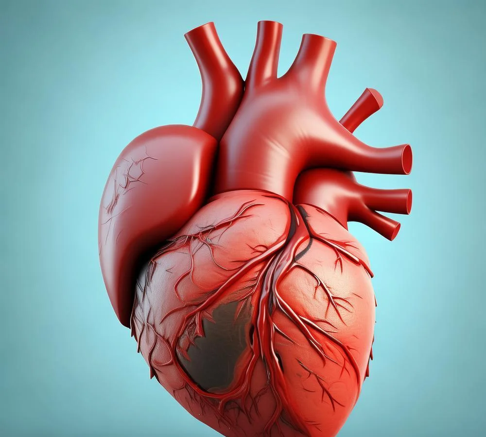 吉林治疗心脏病医院哪家最好？揭秘吉林心脏病治疗领域的佼佼者