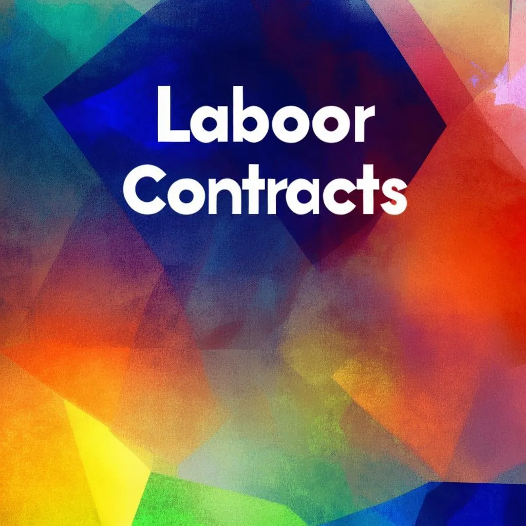 家务劳动合同承包合同书：家庭雇佣关系中的法律保障