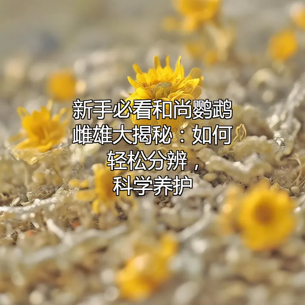 新手必看 和尚鹦鹉雌雄大揭秘：如何轻松分辨，科学养护