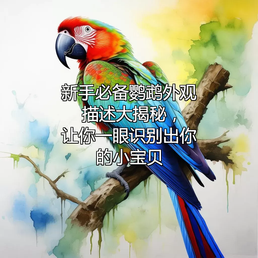 新手必备！鹦鹉外观描述大揭秘，让你一眼识别出你的小宝贝