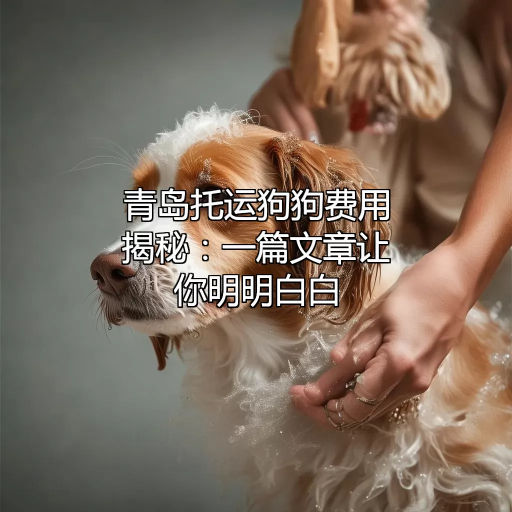 青岛托运狗狗费用揭秘：一篇文章让你明明白白