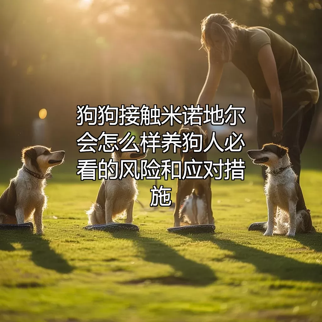 狗狗接触米诺地尔会怎么样？养狗人必看的风险和应对措施