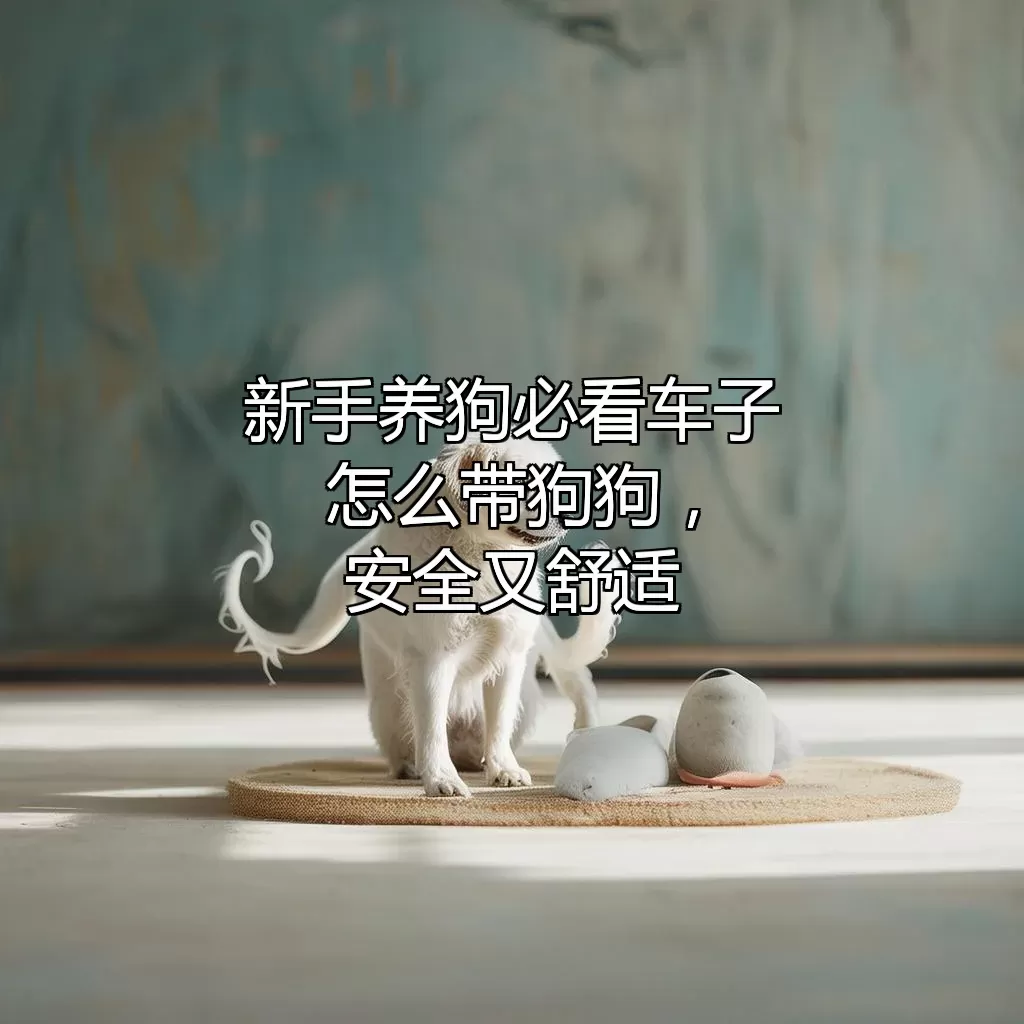 新手养狗必看！车子怎么带狗狗，安全又舒适