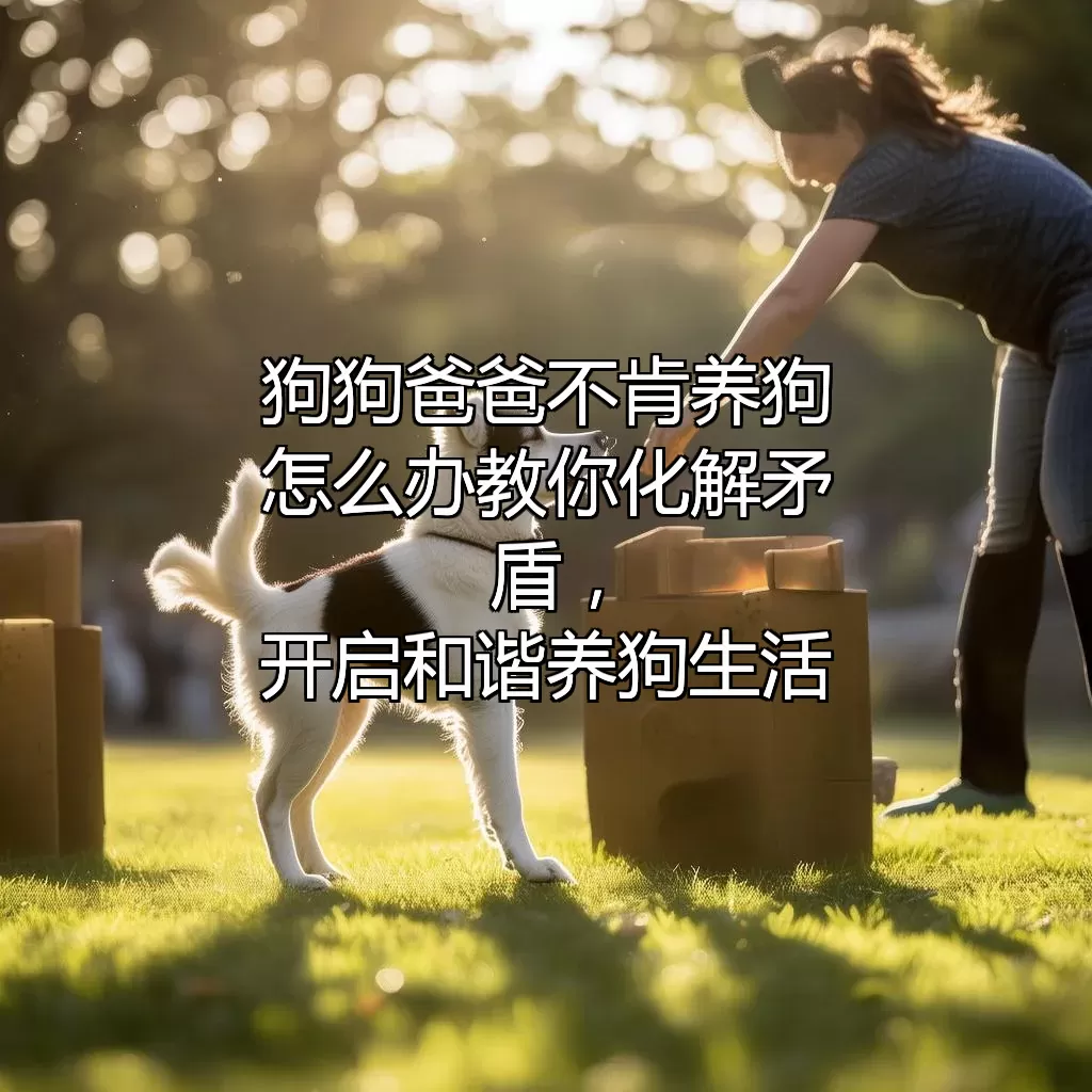 狗狗爸爸不肯养狗怎么办？教你化解矛盾，开启和谐养狗生活