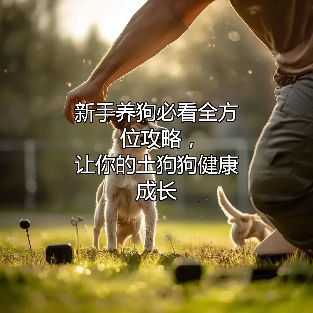 新手养狗必看！全方位攻略，让你的土狗狗健康成长
