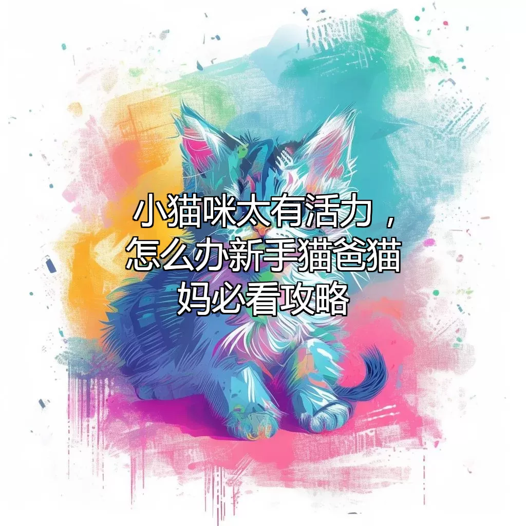 小猫咪太有活力，怎么办？新手猫爸猫妈必看攻略！