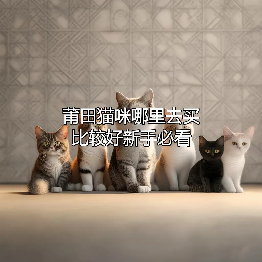 莆田猫咪哪里去买比较好？新手必看！?