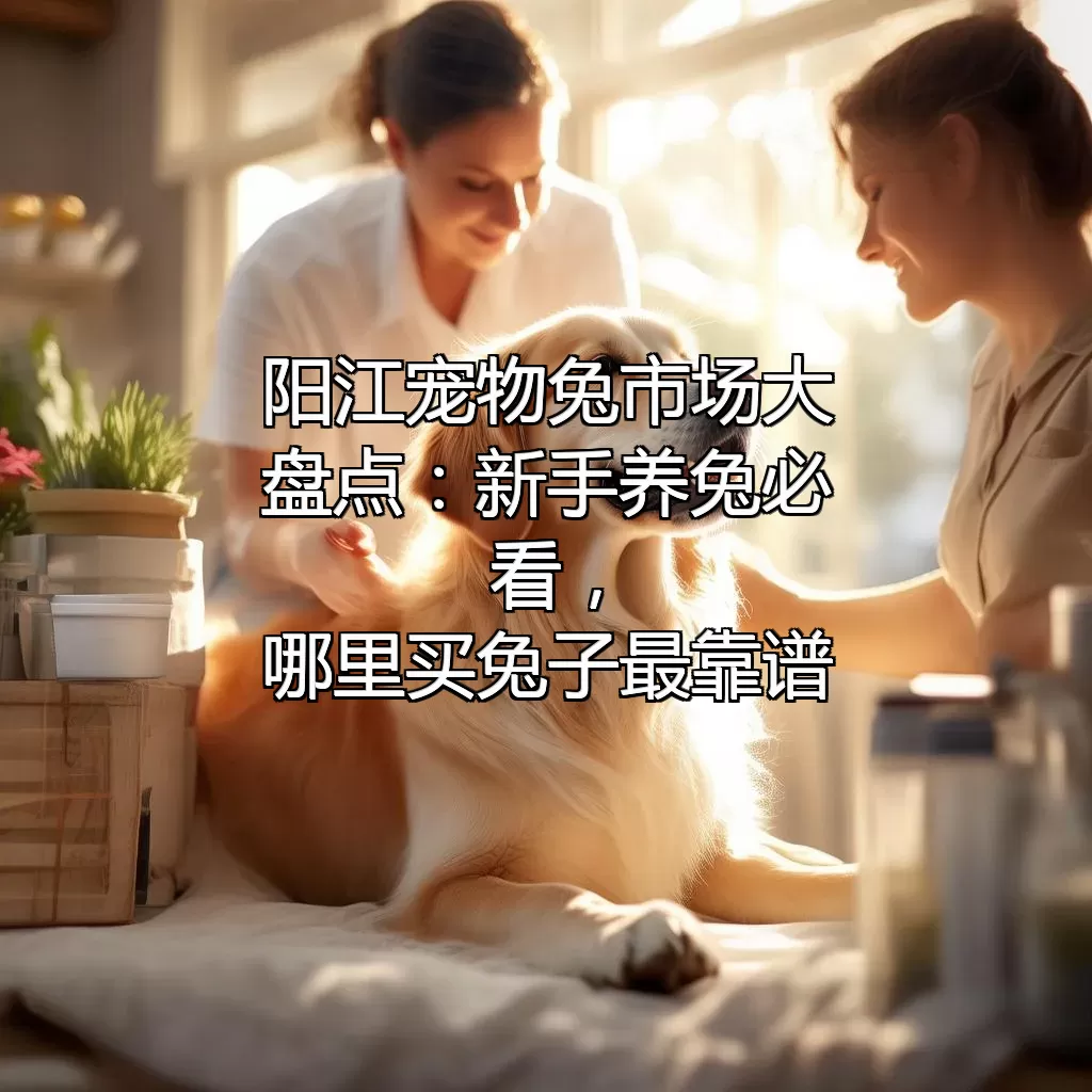 阳江宠物兔市场大盘点：新手养兔必看，哪里买兔子最靠谱？