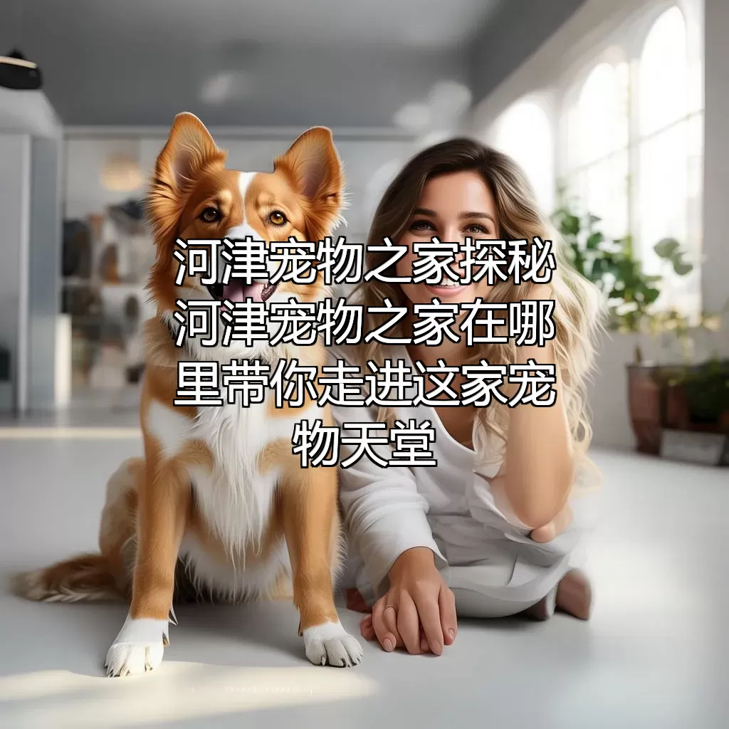 河津宠物之家探秘 河津宠物之家在哪里？带你走进这家宠物天堂！