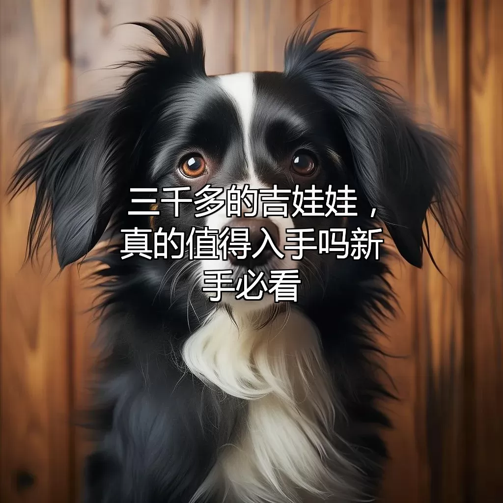 三千多的吉娃娃，真的值得入手吗？新手必看！
