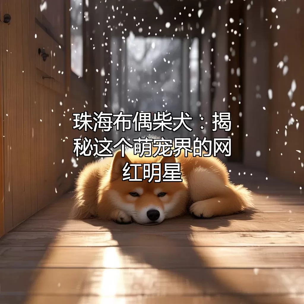 珠海布偶柴犬：揭秘这个萌宠界的网红明星