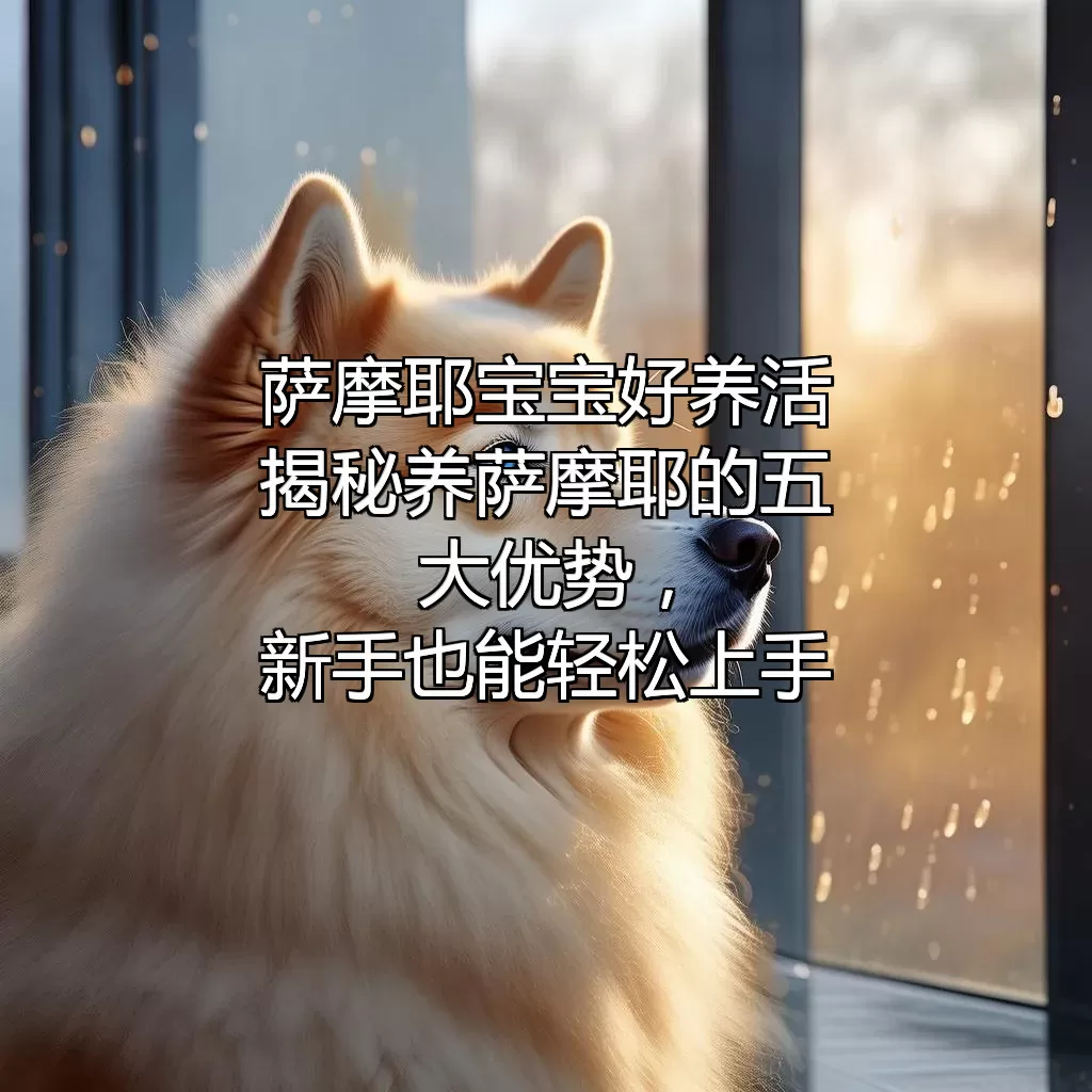 萨摩耶宝宝好养活？揭秘养萨摩耶的五大优势，新手也能轻松上手