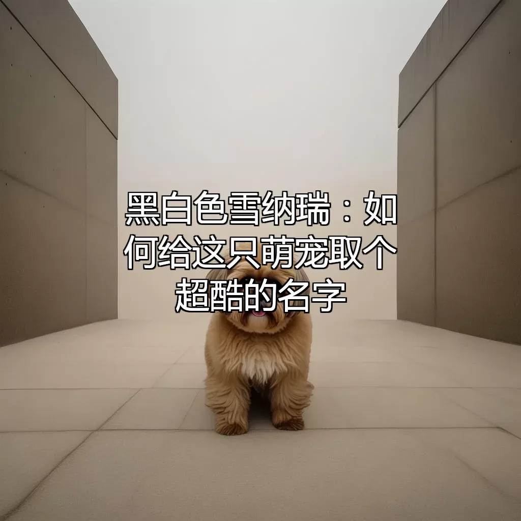 黑白色雪纳瑞：如何给这只萌宠取个超酷的名字？