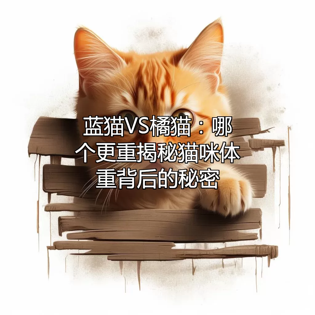 蓝猫VS橘猫：哪个更重？揭秘猫咪体重背后的秘密