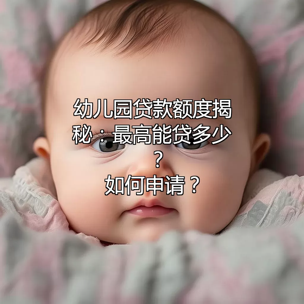 幼儿园贷款额度揭秘：最高能贷多少？如何申请？
