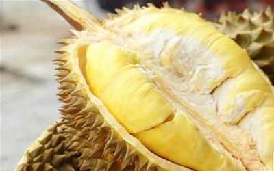 痛经时榴莲的食用效果与建议