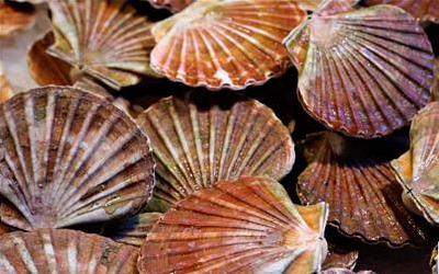 扇贝肉炒韭菜：健康美味的家常菜，这样烹饪更营养