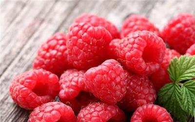 覆盆子和树莓：揭秘同源果子的不同面貌