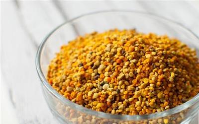 野百合的药用价值及其在疾病治疗中的应用