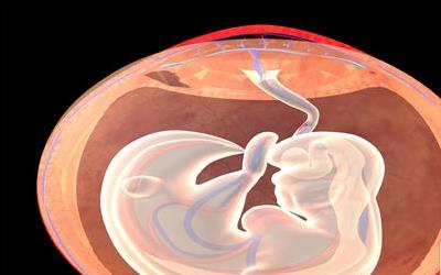 孕妇吃猪蹄：胎儿与孕妇的双重益处解析