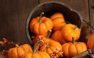 方瓜：营养丰富的健康之选，搭配禁忌揭秘