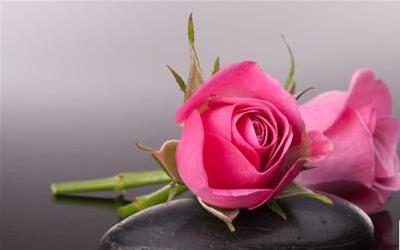 玫瑰酵素对女性健康的四大关键作用与功效深度解析