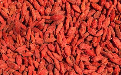 枸杞芽的食用方法与营养价值深度解析