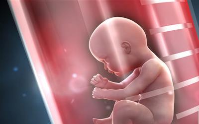 试管移植后营养饮食攻略：孕期营养搭配与注意事项