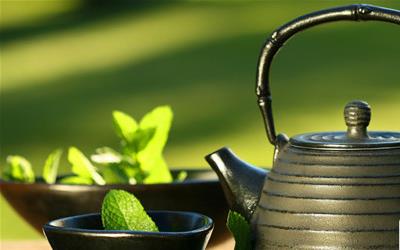 寿眉白茶的正确冲泡方法，解锁养生新体验