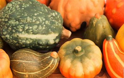 四季豆与南瓜同食，健康饮食新选择