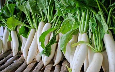 盐水萝卜腌制：家常美食中的健康养生之道