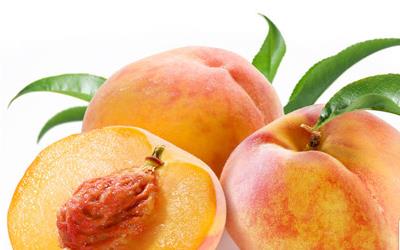 自制水果罐头：传统美食的制作与保存技巧