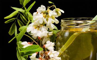 槐树豆的食用方法与功效全解析：缓解疲劳、降压减脂的天然良方