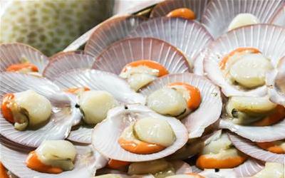 瑶柱：深海珍品背后的营养价值与食用指南