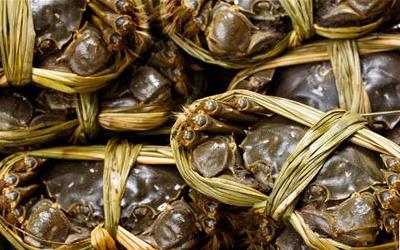 大闸蟹去内脏全攻略：健康美味两不误