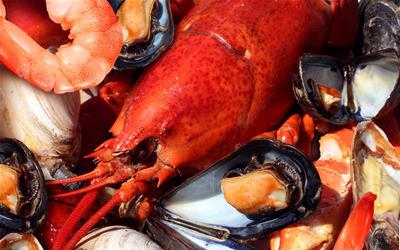 深入了解牡蛎干：营养美味背后的潜在副作用