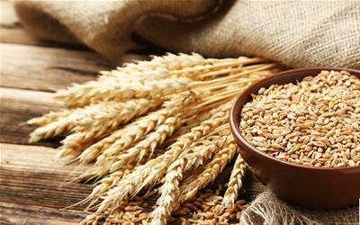 探索无麸质饮食：替代小麦的健康选择