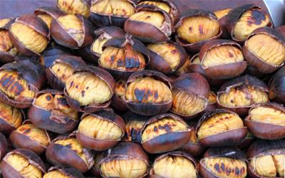 板栗炖羊肉的营养功效与食用指南