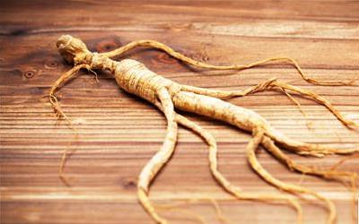 东北人参的多样实用食用方法全解析