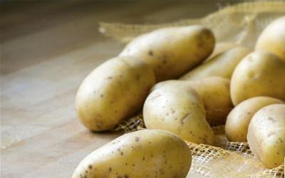 牛肉土豆汤：家常美味又营养的养生汤品制作指南