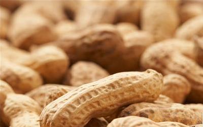 微波炉烤花生米的专业做法与技巧分享