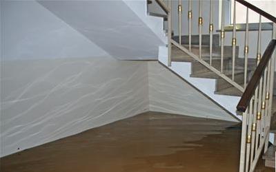 枸杞泡水喝，养生还是陷阱？揭秘枸杞的五大功效与误区