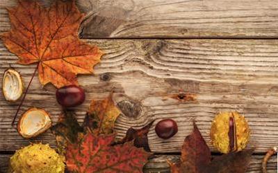 板栗：营养丰富的“干果之王”，揭秘其七大健康益处