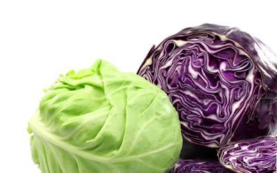 养心菜：全面解析其养生功效与食用方法