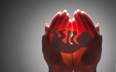 脉络丛囊肿与核桃：科学解析饮食与健康的关联